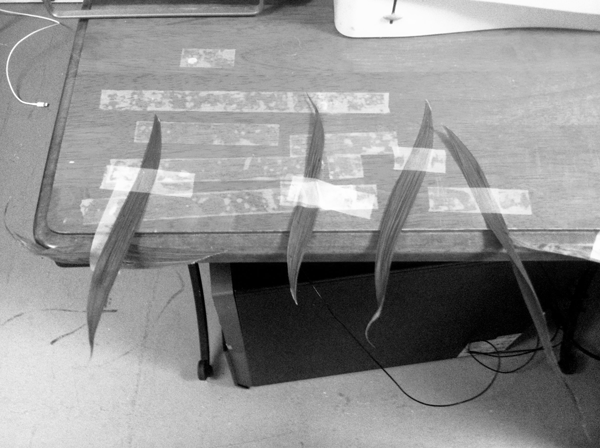A picture of Madeline's office art work