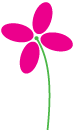Pink Flower